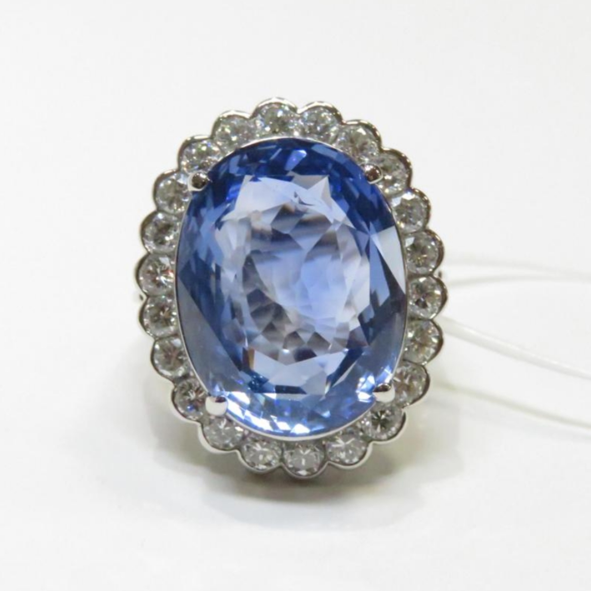 S18.203  PT900 FD 2.55 15.7g			